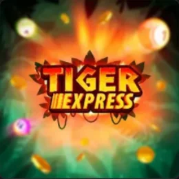 Tiger Express